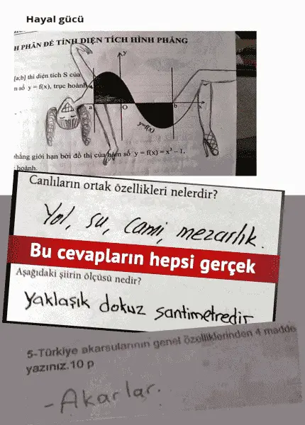 Çobanoğlu Ticaret Mesleki ve Teknik Anadolu Lisesi - okul dergisi 2015