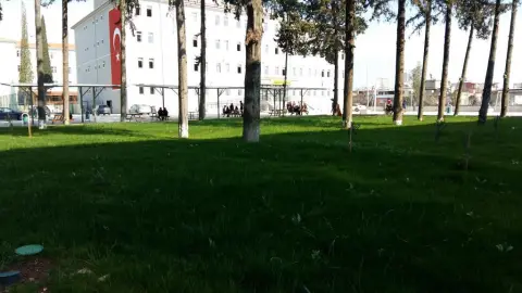Adana Fen Lisesi - Okul Resim