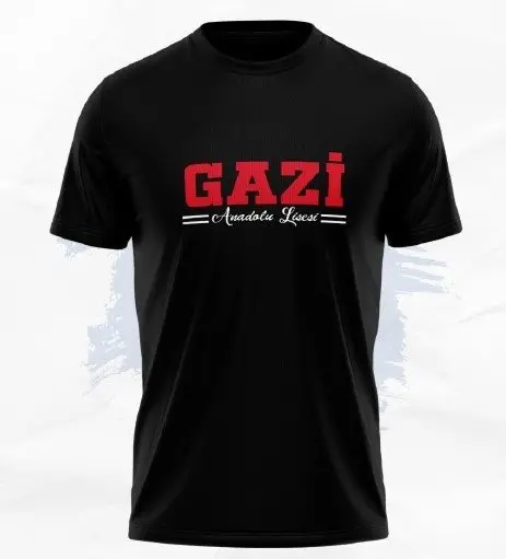 Gazi Anadolu Lisesi - okulumuzdan resimler