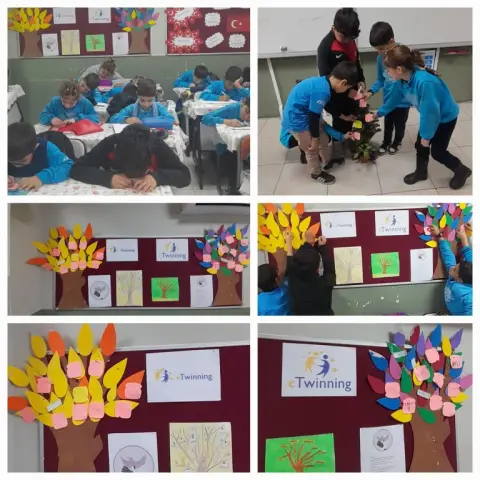 Necatibey İlkokulu - Peace Ambassadors Small Steps Big Changes 2024-2025