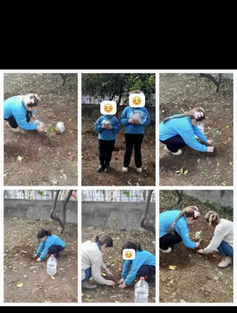 Necatibey İlkokulu - Plant a Tree Breathe Free 2024-2025