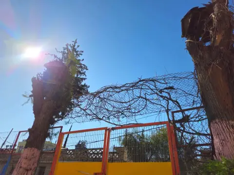 Adana Rotary Kulübü Anaokulu - Fotoğraf Galerisi
