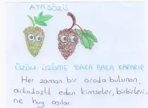 Akkuyu İlkokulu - Albüm
