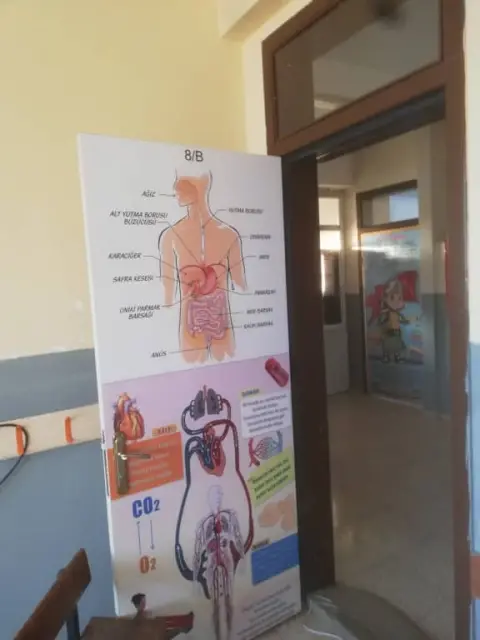 Aksaağaç Ortaokulu - OKULUMUZDAN KARELER