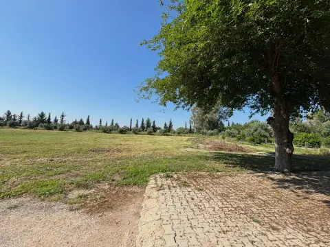 ŞEHİT ÖĞRETMEN ALİ YILDIRIM ORTAOKULU - Albüm