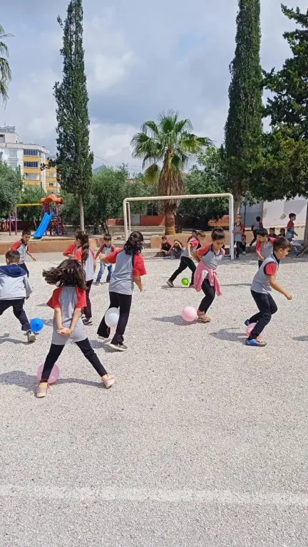 Arslanpaşa Şehit Seyfettin Orkun Çil İlkokulu - Albüm