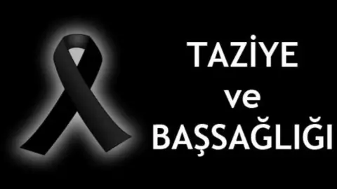 Arslanpaşa Şehit Seyfettin Orkun Çil İlkokulu - Albüm