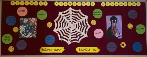 Ayşe Malaz İlkokulu - Rehberlik