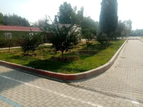 Baklalı Emin Veyisoğulları Ortaokulu - OKULUMUZDAN GÖRÜNTÜLER