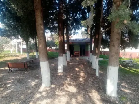Baklalı Emin Veyisoğulları Ortaokulu - OKULUMUZDAN GÖRÜNTÜLER