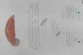 Beyceli İlkokulu - Albüm