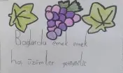 Beyceli İlkokulu - Albüm