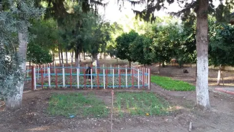 Büyükdikili Ortaokulu - OKULUMUZDAN FOTOĞRAFLAR