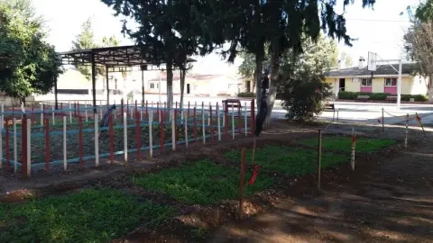 Büyükdikili Ortaokulu - OKULUMUZDAN FOTOĞRAFLAR