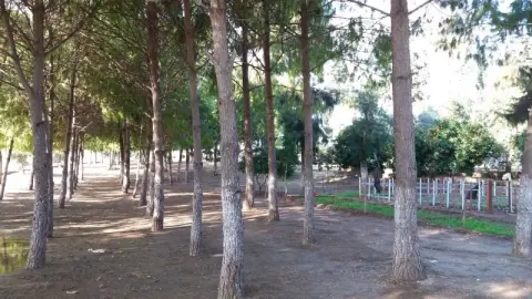 Büyükdikili Ortaokulu - OKULUMUZDAN FOTOĞRAFLAR