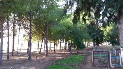 Büyükdikili Ortaokulu - OKULUMUZDAN FOTOĞRAFLAR