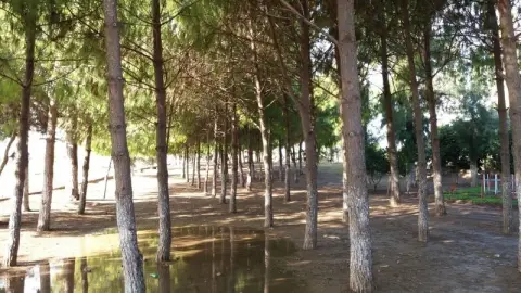 Büyükdikili Ortaokulu - OKULUMUZDAN FOTOĞRAFLAR