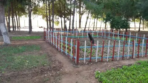 Büyükdikili Ortaokulu - OKULUMUZDAN FOTOĞRAFLAR