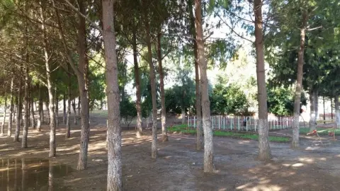 Büyükdikili Ortaokulu - OKULUMUZDAN FOTOĞRAFLAR
