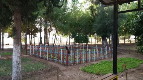 Büyükdikili Ortaokulu - OKULUMUZDAN FOTOĞRAFLAR