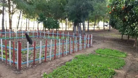 Büyükdikili Ortaokulu - OKULUMUZDAN FOTOĞRAFLAR
