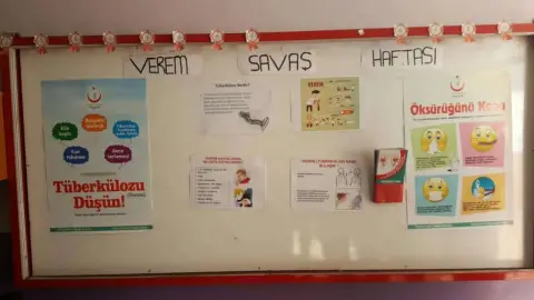 Anadolu İmam Hatip Lisesi - Okul Resimleri