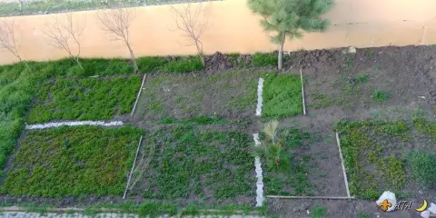 Mehmet Akif Ersoy İlkokulu - Little Farmers in School