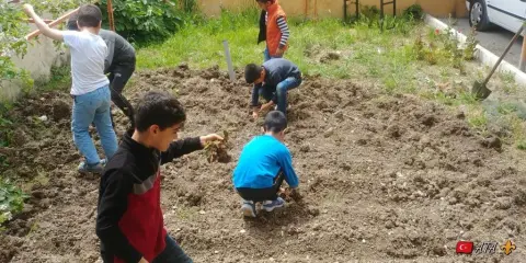 Mehmet Akif Ersoy İlkokulu - Little Farmers in School