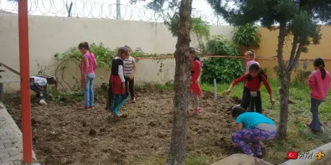 Mehmet Akif Ersoy İlkokulu - Little Farmers in School