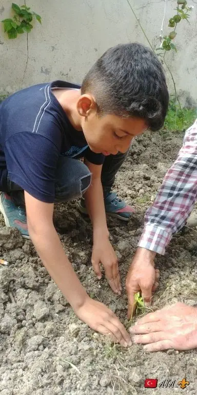 Mehmet Akif Ersoy İlkokulu - Little Farmers in School