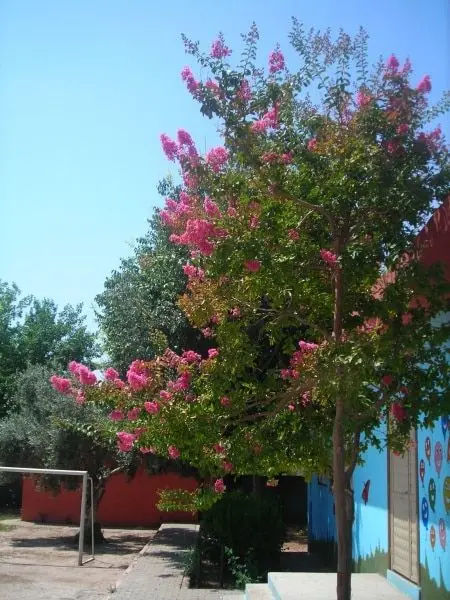 Dağcı İlkokulu - OKULUMUZDAN KESİTLER