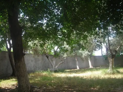 Dağcı İlkokulu - OKULUMUZDAN KESİTLER