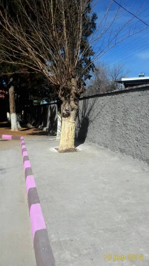 Dağcı Ortaokulu - Okulumuzdan Fotoğraflar