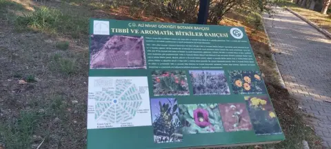 Demokrasi İlkokulu - Botanik Bahçesi Gezisi