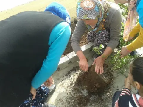 Eğlence Şehitler Ortaokulu - 2016 orman haftası