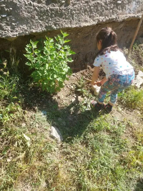 Gedikli İlkokulu - 2023-2024 Eğitim Öğretim Yılı