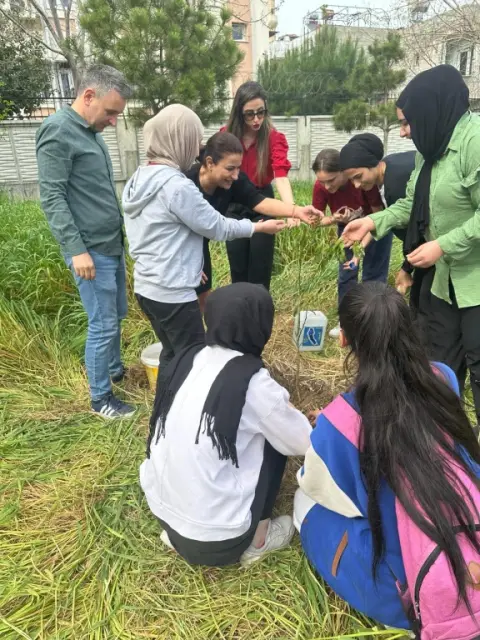 Gülbahçesi Kız Anadolu Lisesi - agaç ekimi