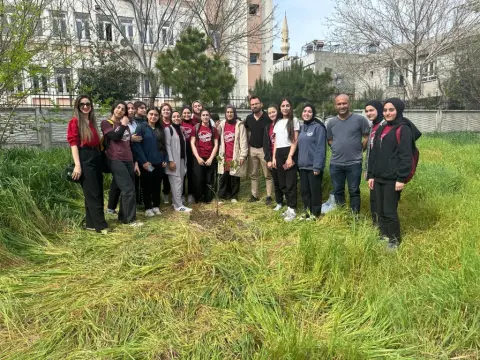 Gülbahçesi Kız Anadolu Lisesi - agaç ekimi