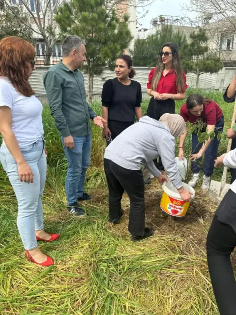 Gülbahçesi Kız Anadolu Lisesi - agaç ekimi