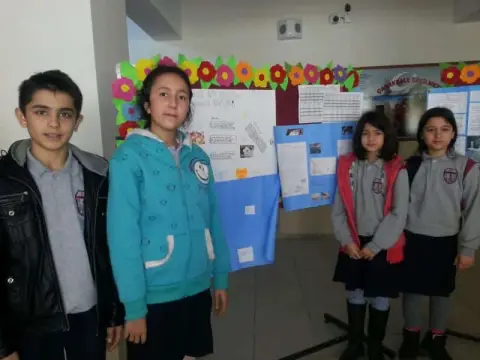 İbn-i Sina Ortaokulu - Pano Çalışmaları