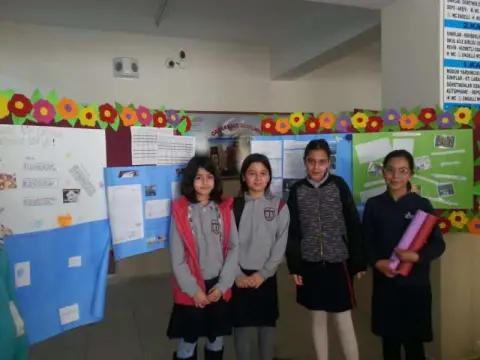 İbn-i Sina Ortaokulu - Pano Çalışmaları