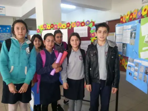 İbn-i Sina Ortaokulu - Pano Çalışmaları