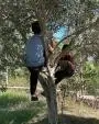Üçtepe Ortaokulu - 2019/2020 Eğitim öğretim Yılı