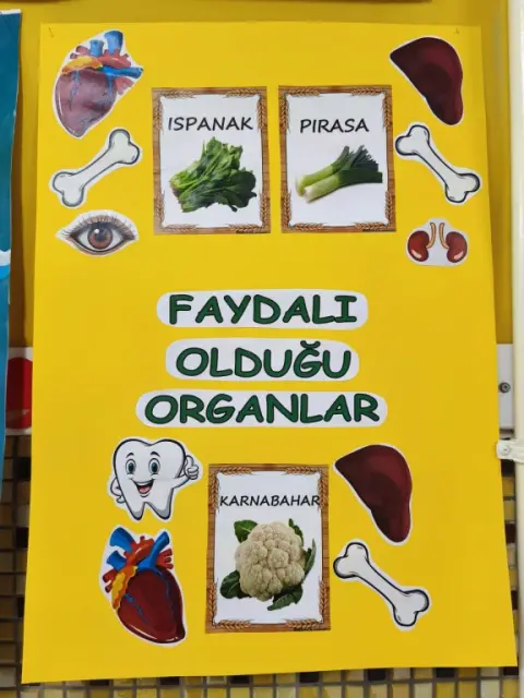 İsmail Hazar Anaokulu - Okulumda Bağlıklı besleniyorum Etkinliklerimiz