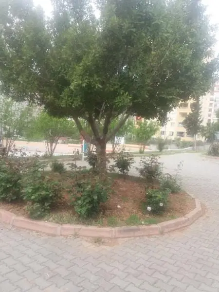 Kenan Çetinel Ortaokulu - OKUL RESİMLERİ