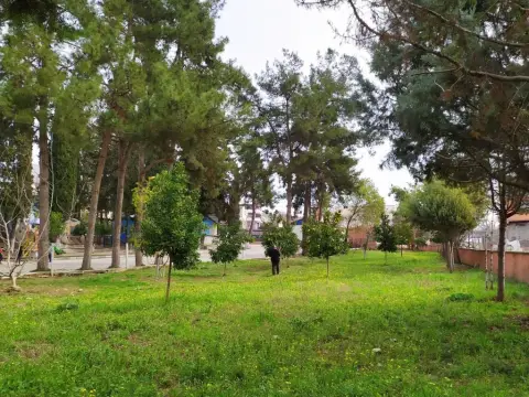 Kabasakal Şehit Selçuk Beki İlkokulu - Okul Bina Çevre Görünümü