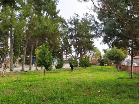 Kabasakal Şehit Selçuk Beki Ortaokulu - Okul Bina Çevre Görünümü