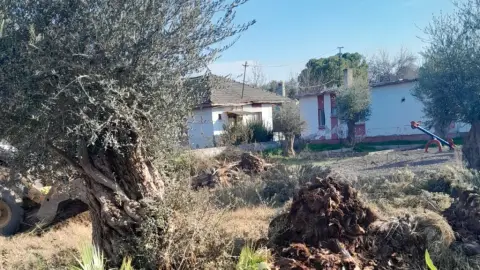 Mustafabeyli İlkokulu - OKUL FOTOĞRAFLARI