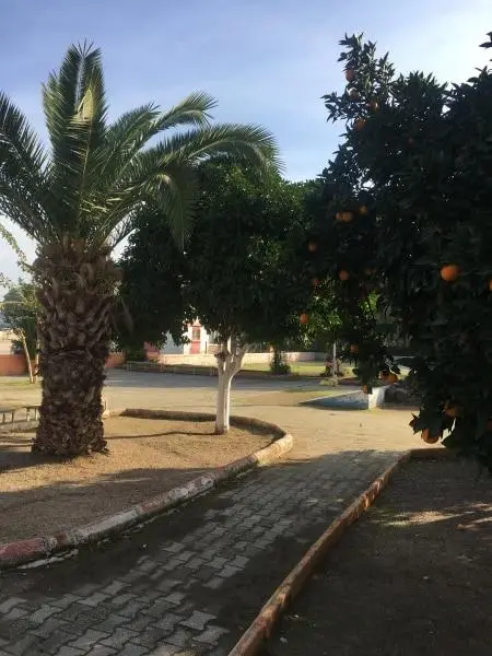 Mustafabeyli İlkokulu - OKUL FOTOĞRAFLARI