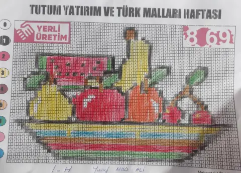 Ömer Haluk Özuçak İlkokulu - Robotik Kodlama